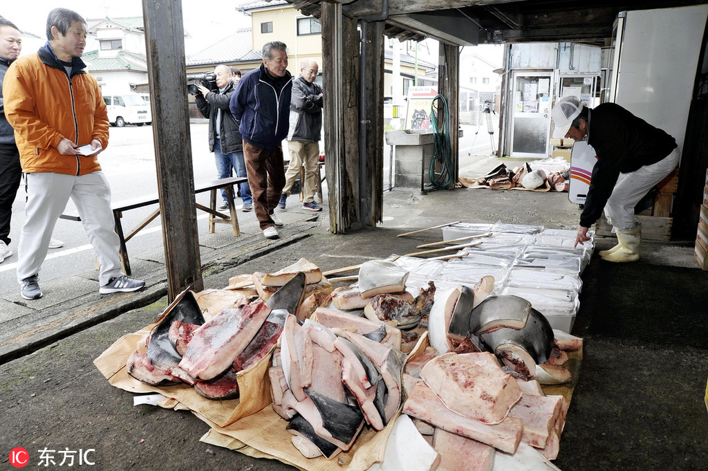 触目惊心直击日本鲸鱼肉批发市场