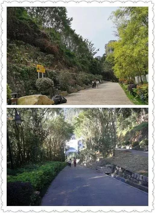 深圳海山公园焕然一新,改造后美翻了!_区域