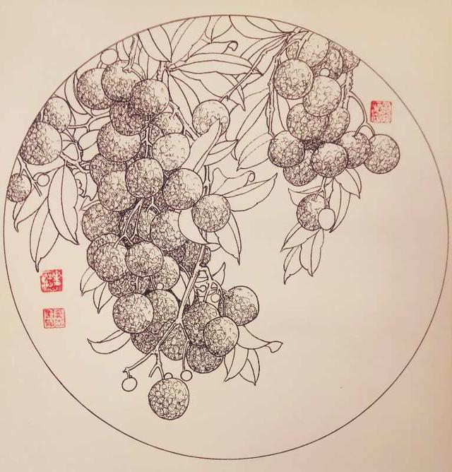 第八百四十幅——荔枝(中性笔白描花卉习作)