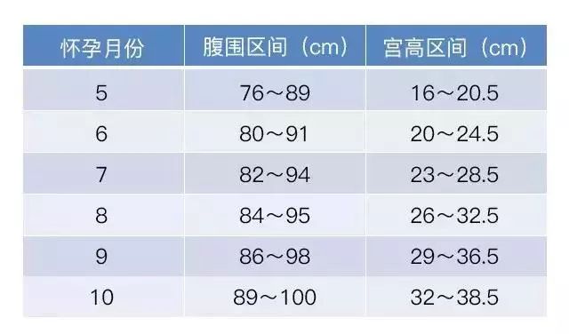 宫高,腹围的正常值区间为:如何确定宫底的位置呢?