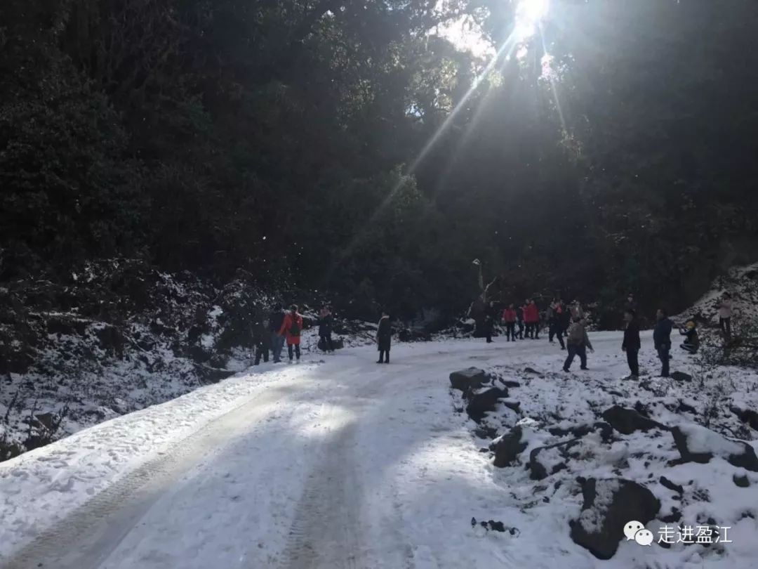 来盈江大娘山看雪探秘原始森林