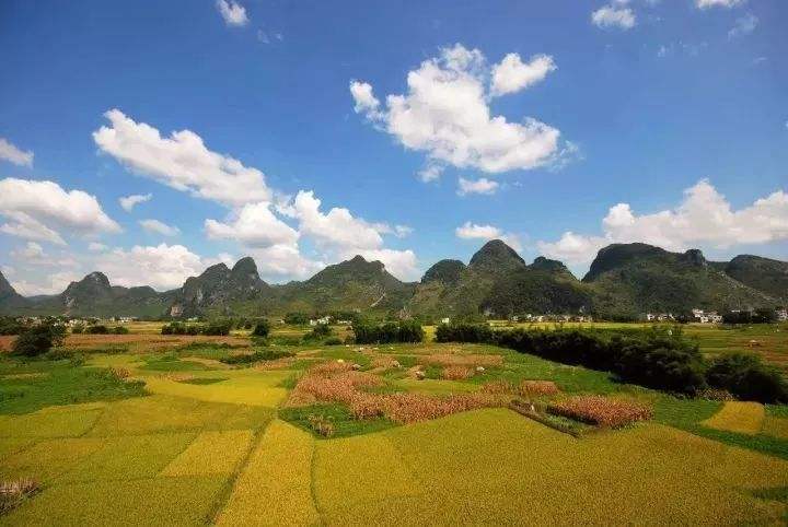 莲都十里画廊风景区位于封开县莲都镇内,毗邻怀集燕岩风景区,占地