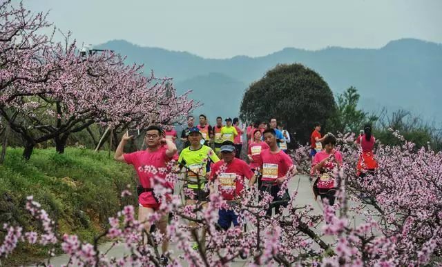 人面桃花相映红2019中国奉化海峡两岸桃花马拉松赛报名开始啦