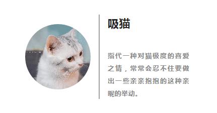 你以为只有现代人才吸猫？明朝比你更上瘾！