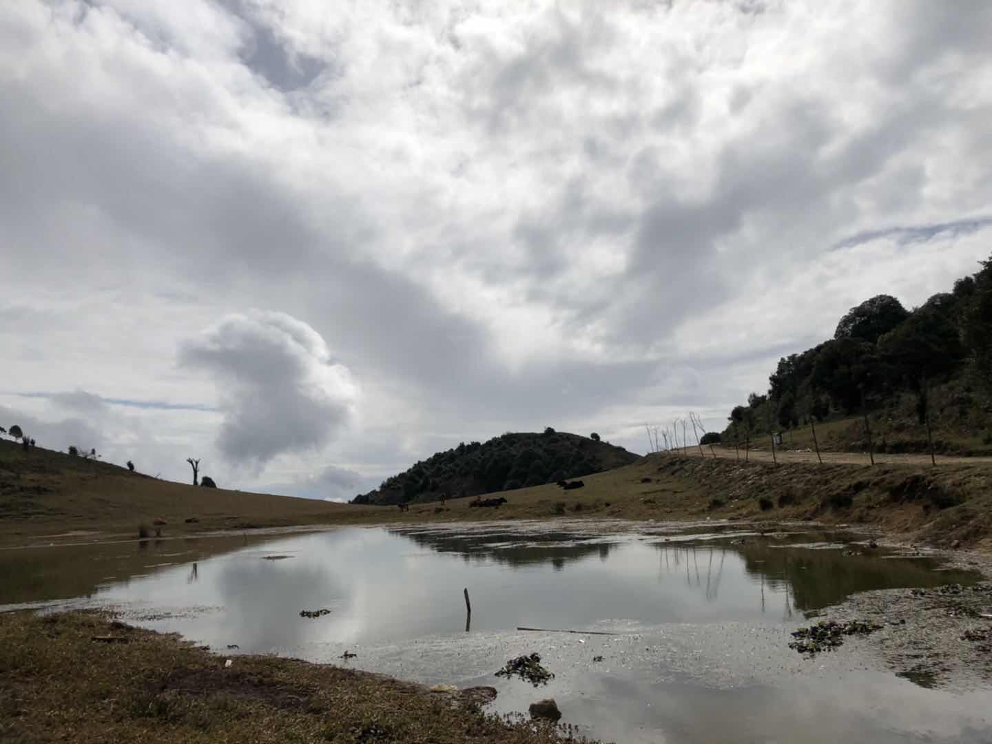 夏季去托县神泉怎么穿搭_男生夏季穿搭(3)