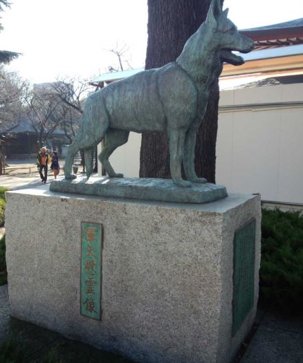 实拍臭名昭著的靖国神社：供奉甲级战犯照片，一样东西令人愤怒