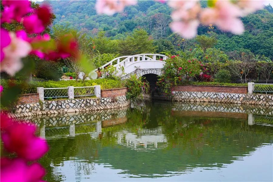 俞大猷公园与正在建设的泉州植物园间