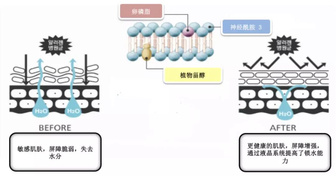 除斑霜的原理_冲霜水系统原理图(2)