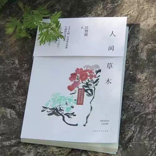 读汪曾祺《人间草木》:人活着,就得找点儿乐子与自由