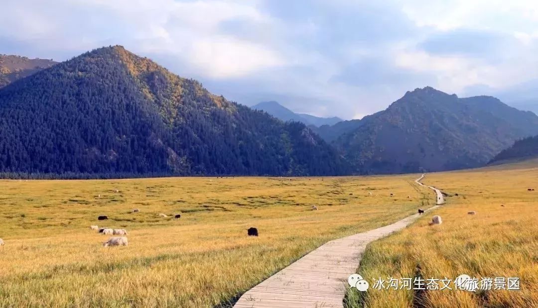 祁连山山脉的东端,距武威市区40公里,是国家aaaa级旅游景区