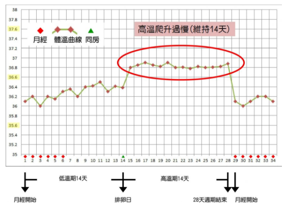 女性来月经的原理_月经停止   怀孕前的第一信号就是\