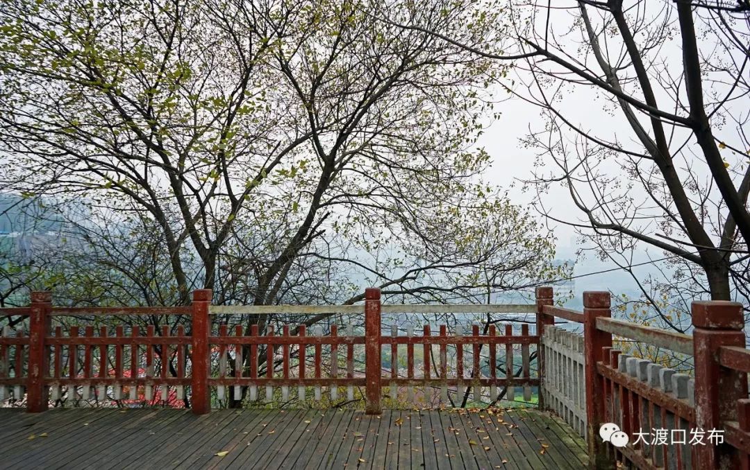 大渡口哪里可以看江景?这个美丽的公园不要错过!