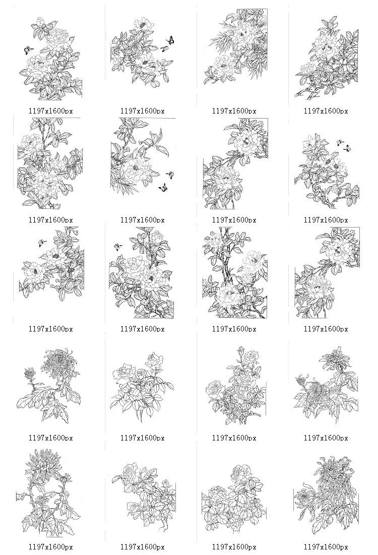 340.免扣古风花卉线稿茶花菊花牡丹画月季花手绘白描png透明设计素材