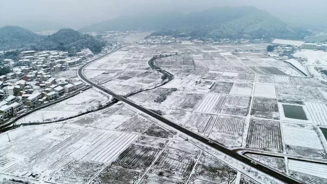 蕉溪村人口