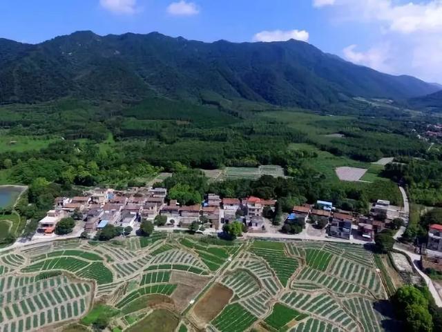 广东肇庆四会加速创建省农村人居环境整治示范县