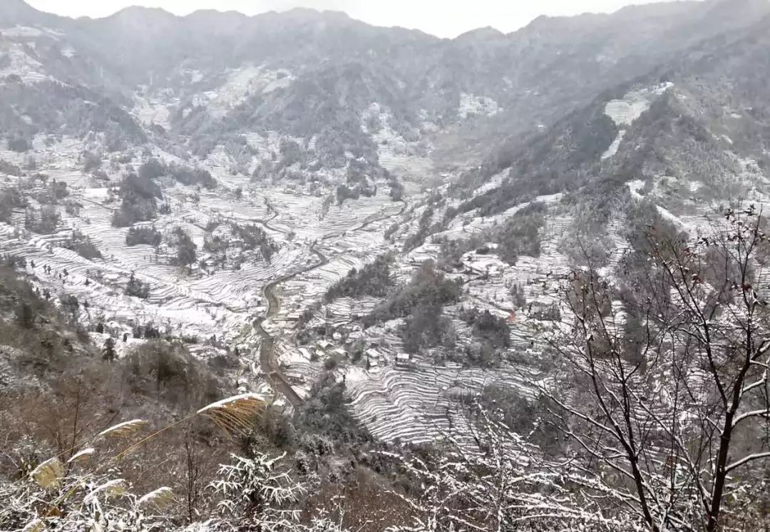 邓村的雪景真是太美了