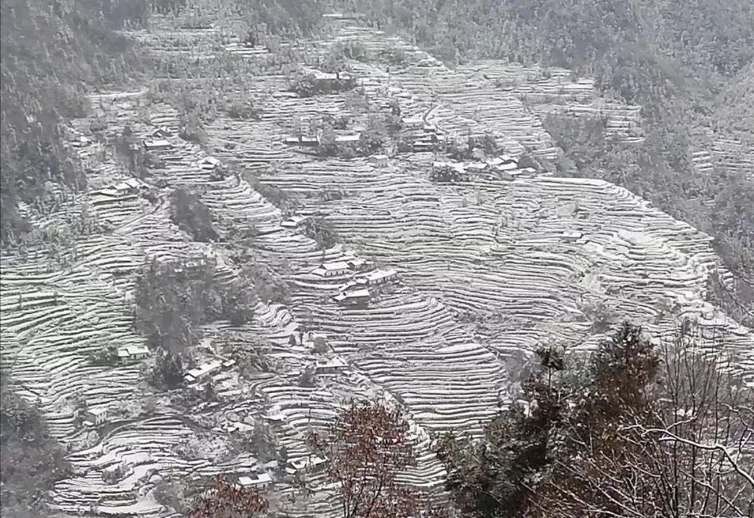 邓村的雪景真是太美了