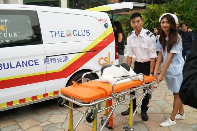 香港推出宠物急救车,为宠物提供夜间急救服务,其实我们早就有了_救护