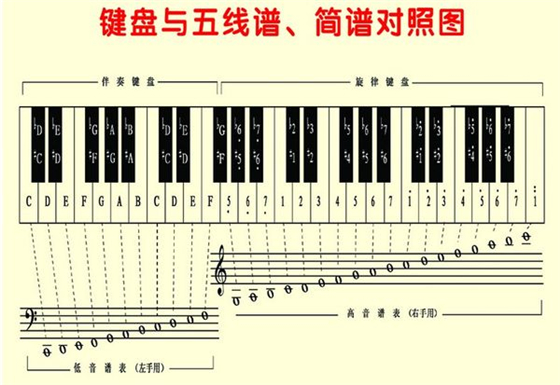 简谱和五线谱哪个好学_五线谱简谱对照表(5)