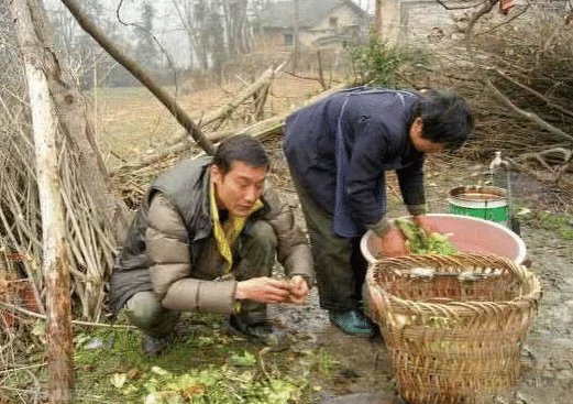 梁家輝回農村， 成龍回農村， 李湘回農村， 網友: 差距不是一般大 娛樂 第2張