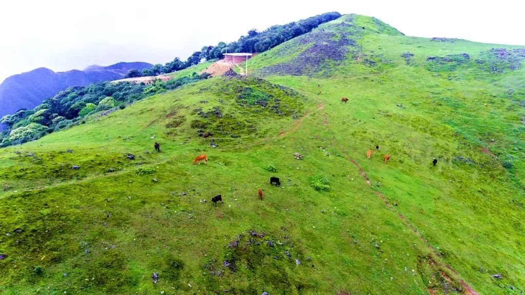 仁化万时山草原露营地