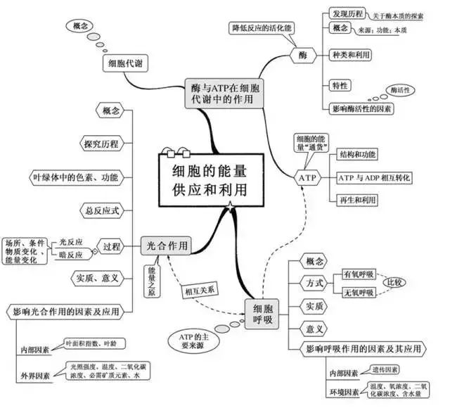 期末考试明日开始！考前各科知识点大放送