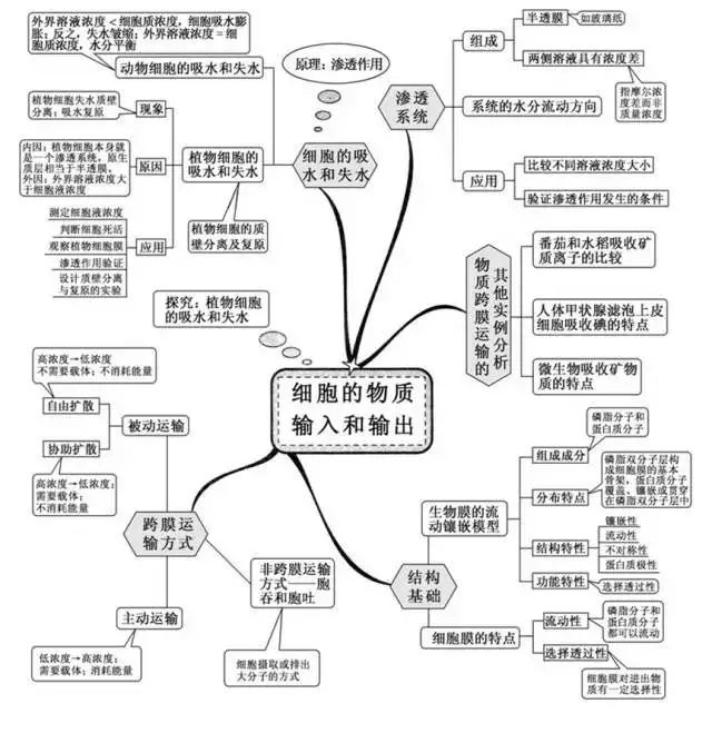 期末考试明日开始！考前各科知识点大放送