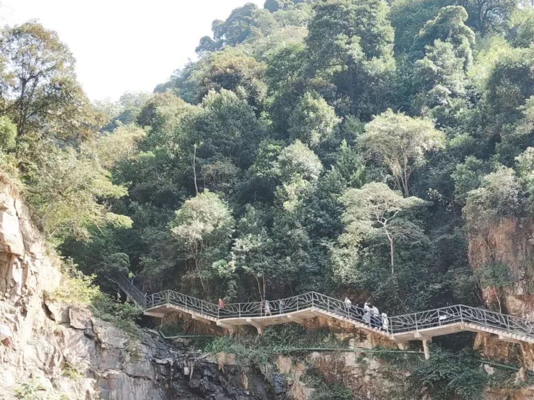 2019年1月19日中国·鹰潭第一届"圣井山杯"登山大赛