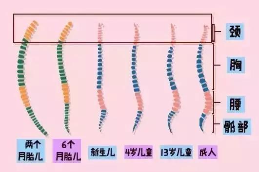 宝宝1岁前不要睡枕头的原因你需要知道！