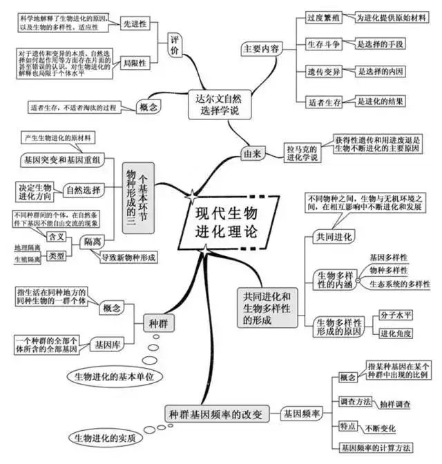 期末考试明日开始！考前各科知识点大放送