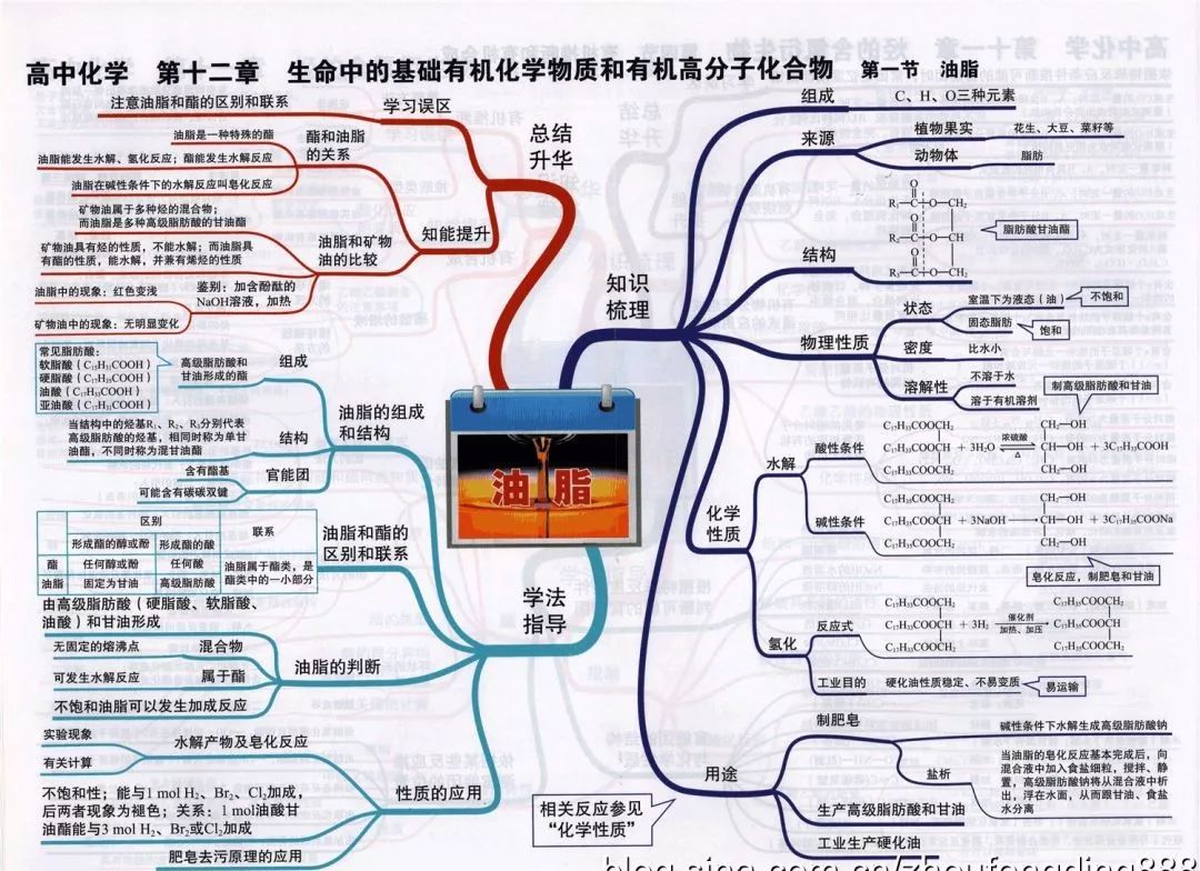 期末考试明日开始！考前各科知识点大放送