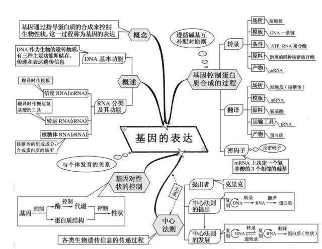 期末考试明日开始！考前各科知识点大放送