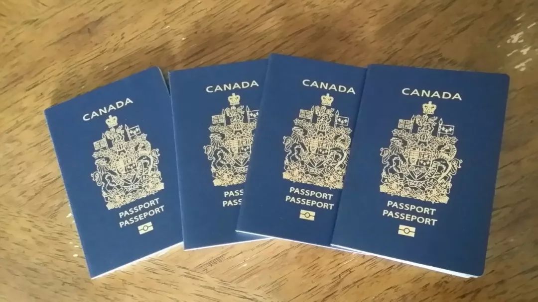 OMG.加拿大2019年父母团聚移民又改政策了?