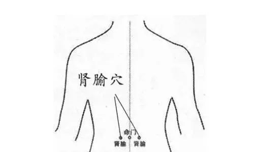 孩子冬天总生病，中医专家帮您来支招！