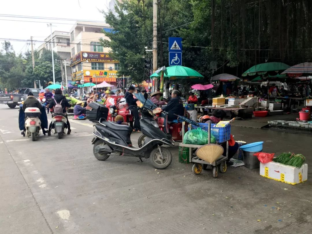 堵堵堵合浦这条大马路天天让人头痛