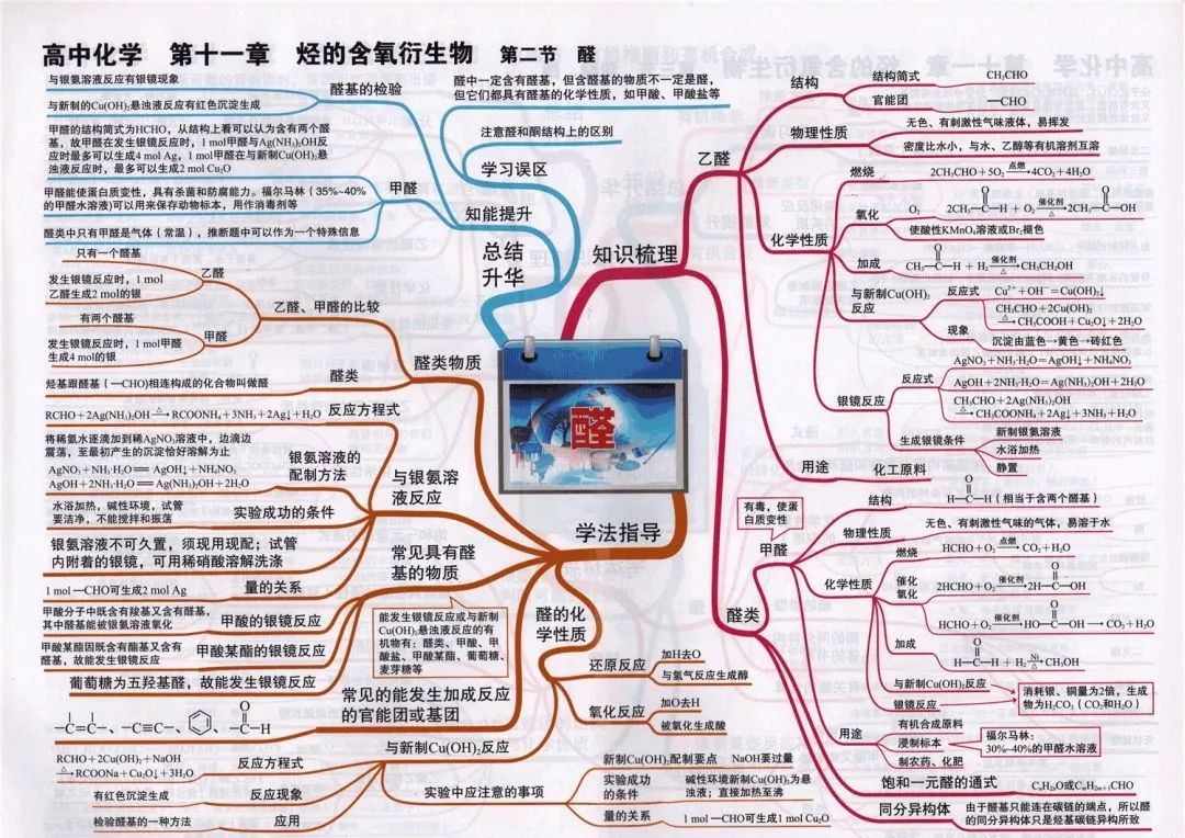 期末考试明日开始！考前各科知识点大放送