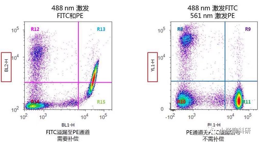 细胞疗理仪是什么原理_雾疗是什么(3)