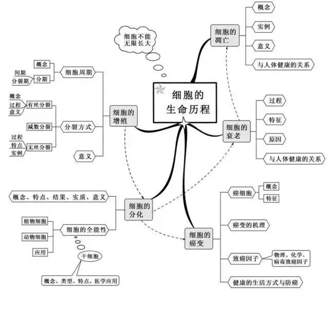 期末考试明日开始！考前各科知识点大放送