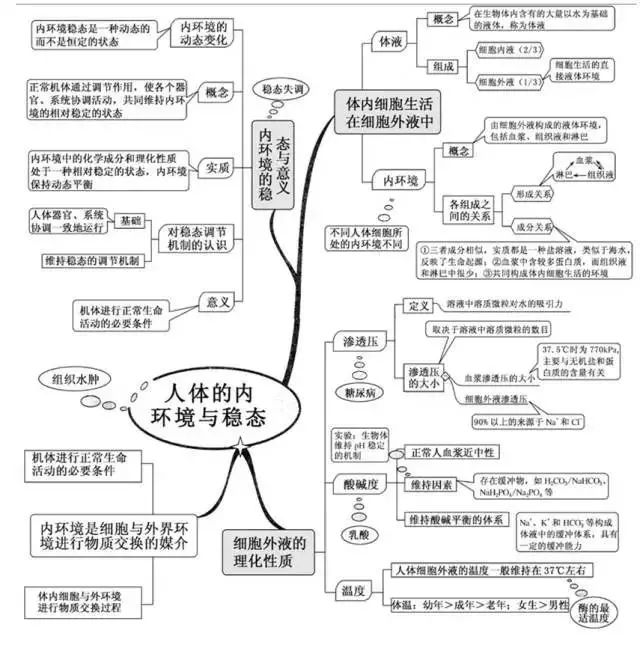 期末考试明日开始！考前各科知识点大放送