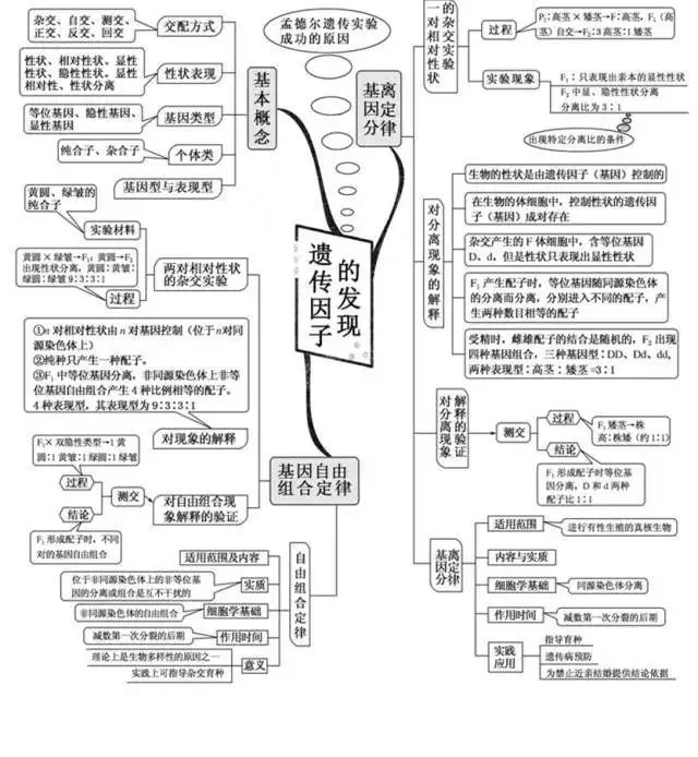 期末考试明日开始！考前各科知识点大放送