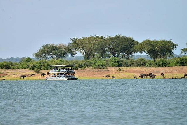 东非乌干达自助旅行,Kazinga海峡游船拜访非洲