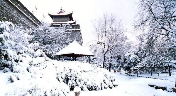 [一日一签]地白风色寒，雪花大如手。