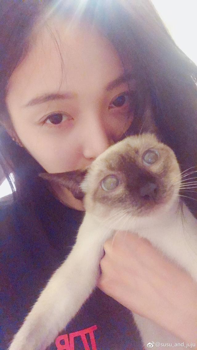 鞠婧祎,吴宣仪,迪丽热巴,谁是宠爱动物的小可爱?_猫咪