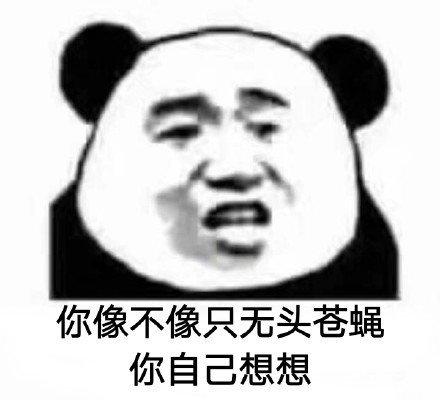 你像不像个无头苍蝇,你自己想想