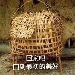 搞笑表情包:回家吧,回到最初的地方