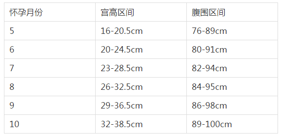 随着孕周的增加医生可通过测量宫高和腹围来了解胎宝宝的发育情况