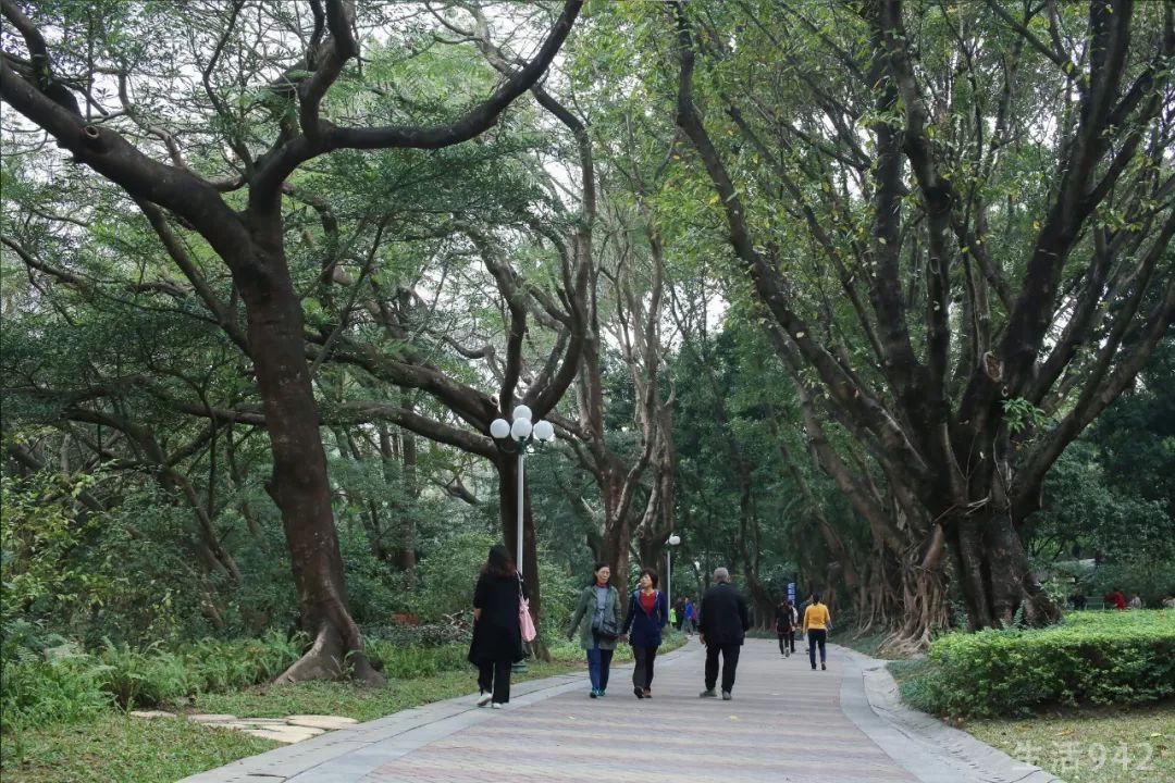 早上6:00晚上23:00 地址:深圳市罗湖区人民北路3071号 交通: 公园距离