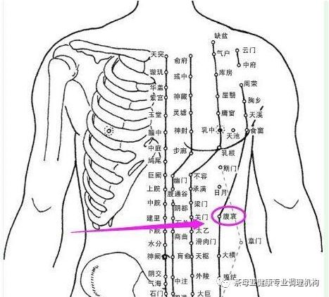 腹哀穴——肝胆疼痛就找它!