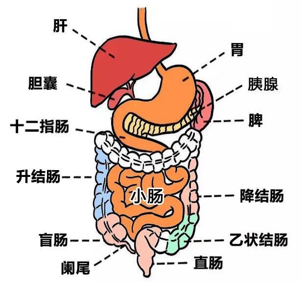 全世界只有中国人喝热水?我不信!