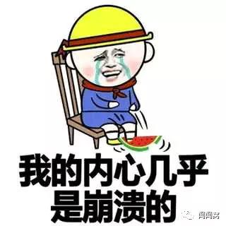 有狗狗了還想著養二胎？這後果...你真的想清楚了嗎？！ 萌寵 第16張